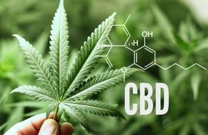 CBD.jpg