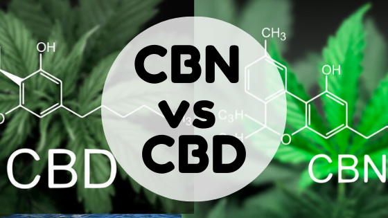 CBD VS CBN